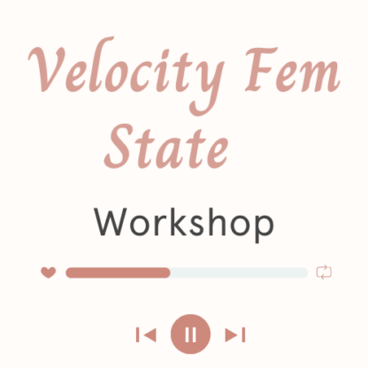 Velocity Fem State Workshop